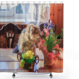 Personality  Adorable Gray Kitty With Basket Flowers On The Table Shower Curtains