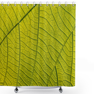 Personality  Texture Of Tree Leaf Shower Curtains