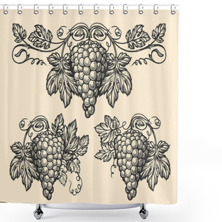 Personality  Grapevine Pattern Set Sketch. Hand Drawn Vine, Grape Bunches And Leaves. Vineyard Vector Illustration Vintage Engraving Shower Curtains