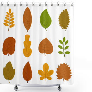 Personality  Set Of Twelve Different Autumn Leaves Isolated On White Background Shower Curtains