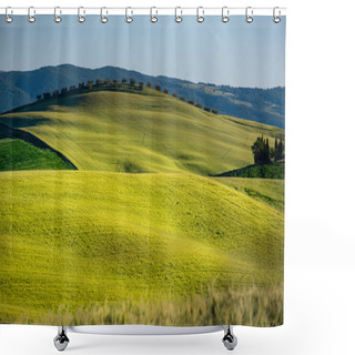 Personality  Beautifully Illuminated Landscape Of Tuscany . Green Hills Shower Curtains