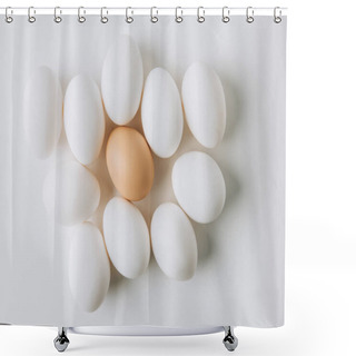 Personality  White Eggs And One Brown Laying On White Background Shower Curtains
