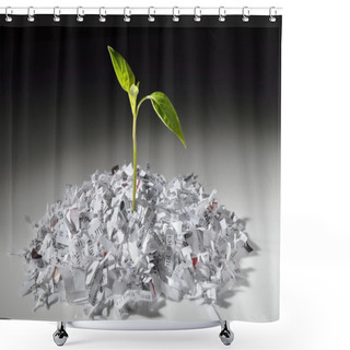 Personality  Plant Growing From Shredded Paper Shower Curtains