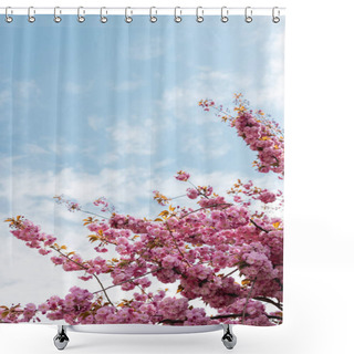 Personality  Blooming Pink Flowers On Branches Of Cherry Tree Against Sky With Clouds Shower Curtains