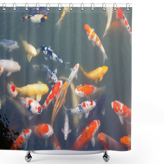 Personality  Lot Of Colorufl Koi Fishes In Japanese Garden Shower Curtains