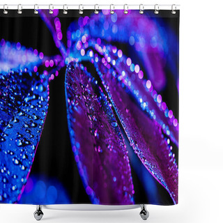 Personality  Selective Focus Of Water Drops On Schefflera Leaf, Blue Color Filter Shower Curtains