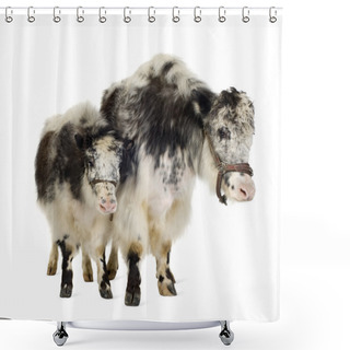 Personality  Yak And Her Calf Shower Curtains