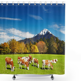 Personality  Grazing Cows Shower Curtains