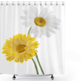 Personality  Daisy Flowers Shower Curtains