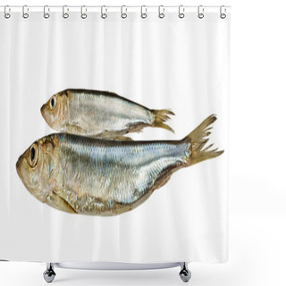 Personality  Two Baltic Herrings. Shower Curtains