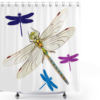 Personality  Dragonfly Shower Curtains