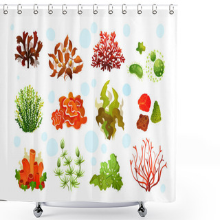 Personality  Marine Aquarium Flora, Coral Reef Underwater Seaweeds, Ocean Plants Shower Curtains