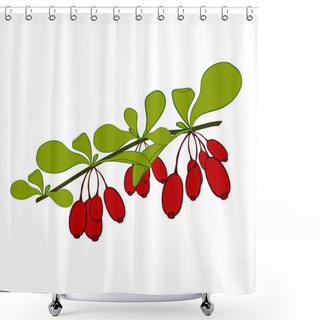 Personality  Barberries Branch  On White Background. Hand Drawn Berries. Vector Illustration. Shower Curtains