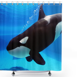 Personality  Orca Shower Curtains