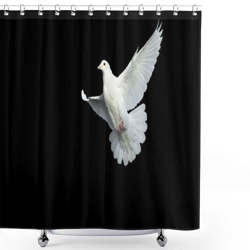 Personality  White dove in free flight shower curtains