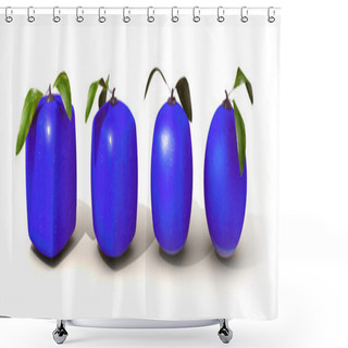 Personality  Blue Citric Fruit Evolution Shower Curtains