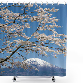 Personality  Fuji Mountain And Sakura Branches At Tanuki Lake, Japan Shower Curtains