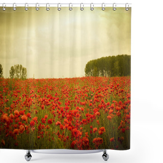 Personality  Field Of Flowers On Sunset Shower Curtains