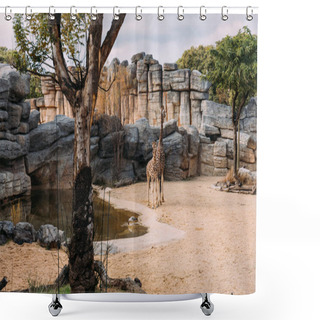 Personality  Funny Giraff Walking Near Pond In Zoological Park, Barcelona, Spain Shower Curtains