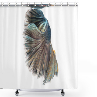 Personality  Halfmoon Betta Fish, Siamese Fighting Fish, Betta Splendens Shower Curtains