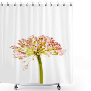 Personality  Nice Flowers Isolated On White Shower Curtains
