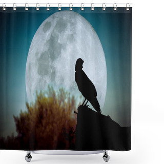 Personality  Night Sky With Full Moon, Tree And Silhouette Of Crow  Shower Curtains