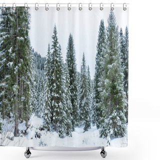 Personality  View Of A Winter Mountain Forest On A Cloudy Day. Natural Background. Shower Curtains