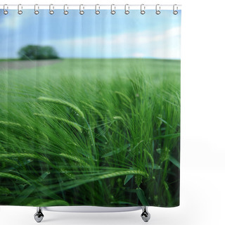 Personality  Green Field Of Barley Shower Curtains