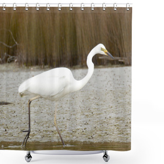 Personality  White Heron Shower Curtains