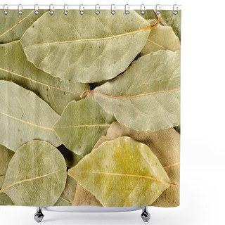 Personality  Arrangement Of Bay Leaves Shower Curtains
