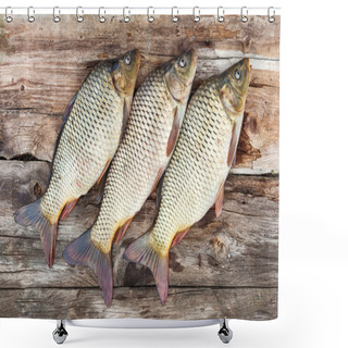 Personality  Carp Fish Over Old Wooden Plank Board Shower Curtains
