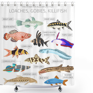 Personality  Loaches, Gobies, Killfish. Freshwater Aquarium Fish Icon Set Flat Style Isolated On White.  Vector Illustration Shower Curtains