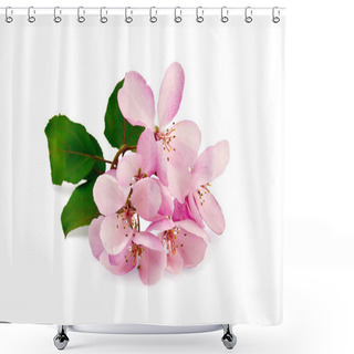 Personality  Apple Pink Flowers Shower Curtains