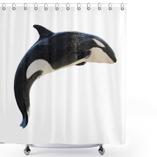 Personality  Leaping KillerWhale, Orcinus Orca Shower Curtains