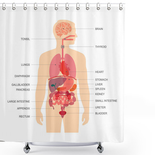 Personality  Human Body Anatomy Shower Curtains