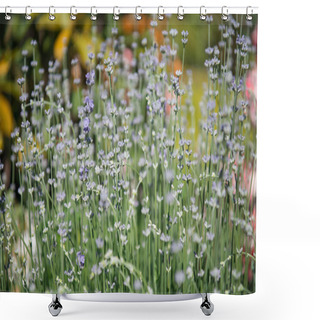Personality  Violet Flowers And Green Leaves Background Shower Curtains
