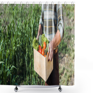 Personality  Panoramic Shot Of Senior Farmer Holding Wooden Box With Vegetables Near Corn Field Shower Curtains
