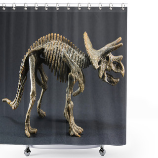 Personality  Triceratops Fossil Dinosaur Skeleton Model Toy Shower Curtains