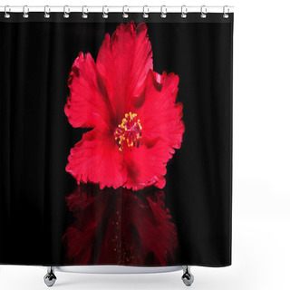 Personality  Hibiscus Shower Curtains