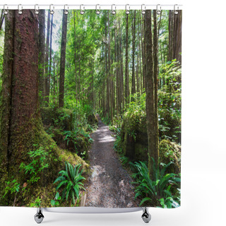 Personality  Rain Forest In Vancouver Island Shower Curtains
