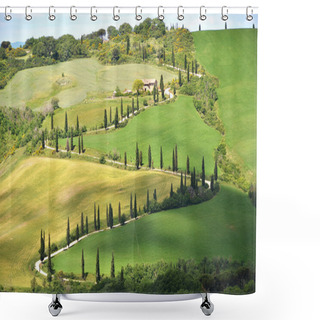 Personality  Cypress Trees In Tuscany, Italy Shower Curtains