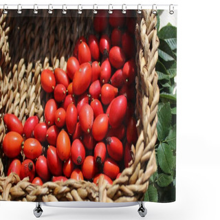 Personality  Rosehips In A Basket Shower Curtains