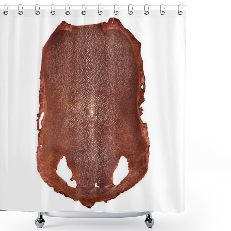 Personality  Stingray skin shower curtains