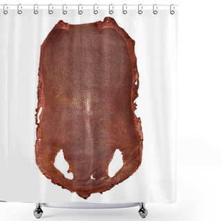 Personality  Stingray Skin Shower Curtains