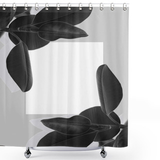 Personality  Plant With White Blank Card Shower Curtains
