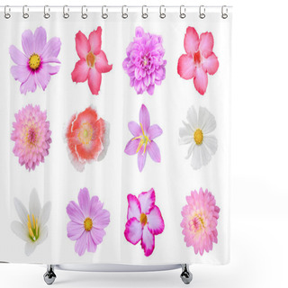 Personality  Collection Of Different Colorful Flower (poppies, Dahlia, Cosmos, Crocus, Adenium) Isolated On White Background With Clipping Path Shower Curtains