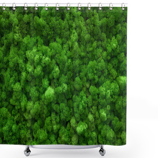Personality  Green Moss Covered The Ground. Nature Background Concept. Flat Lay, Top View. Shower Curtains