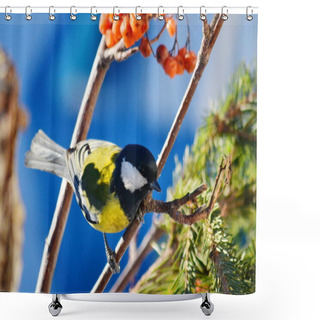 Personality  Birds Of The Steppes Shower Curtains