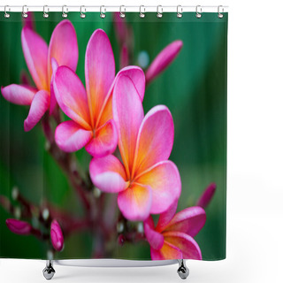 Personality  Branch Of Tropical Pink Flowers Shower Curtains