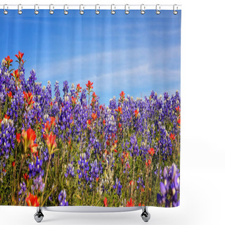 Personality  Field Of Texas Spring Wildflowers - Bluebonnets And Indian Paint Shower Curtains